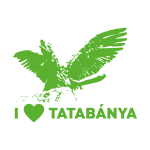 Tatabanya_logo_15